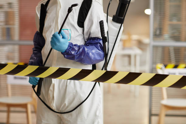Professional Sewage Cleanup technician working in Steep Falls, ME